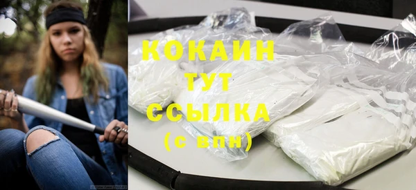 гашик Козловка