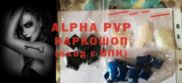 гашик Козловка