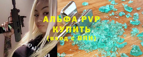 гашик Козловка