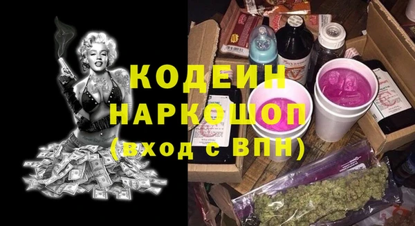 соль ск Козельск