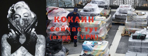 гашик Козловка