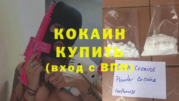 гашик Козловка