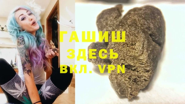 гашик Козловка