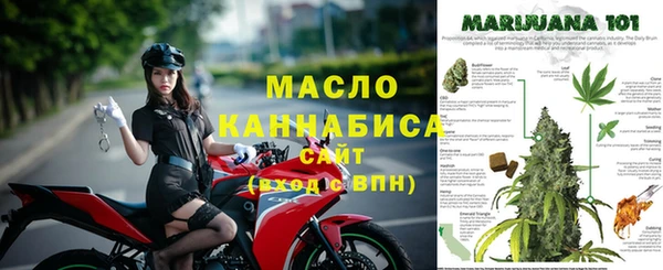 молекула духа Костерёво