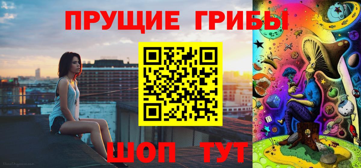 Псилоцибиновые грибы Cubensis Клинцы