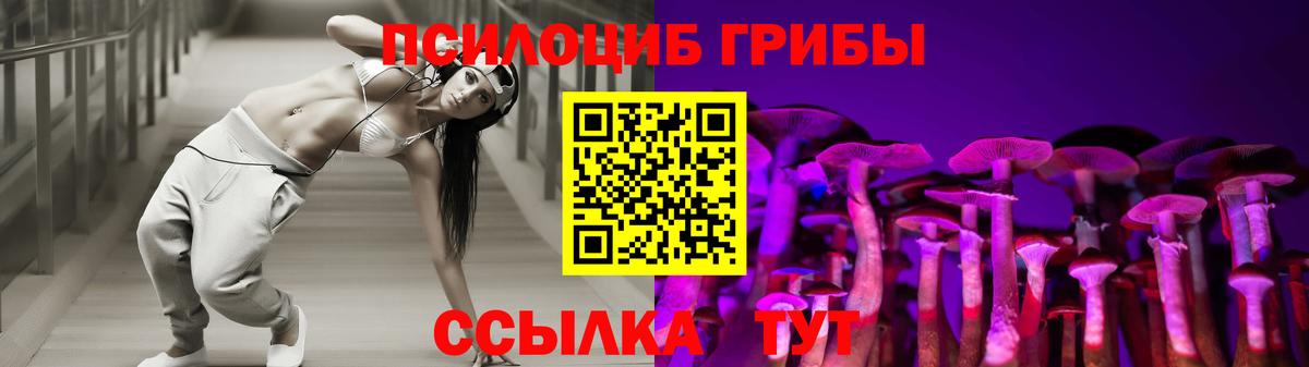 Клинцы  Псилоцибиновые грибы Magic Shrooms  Вход с VPN 